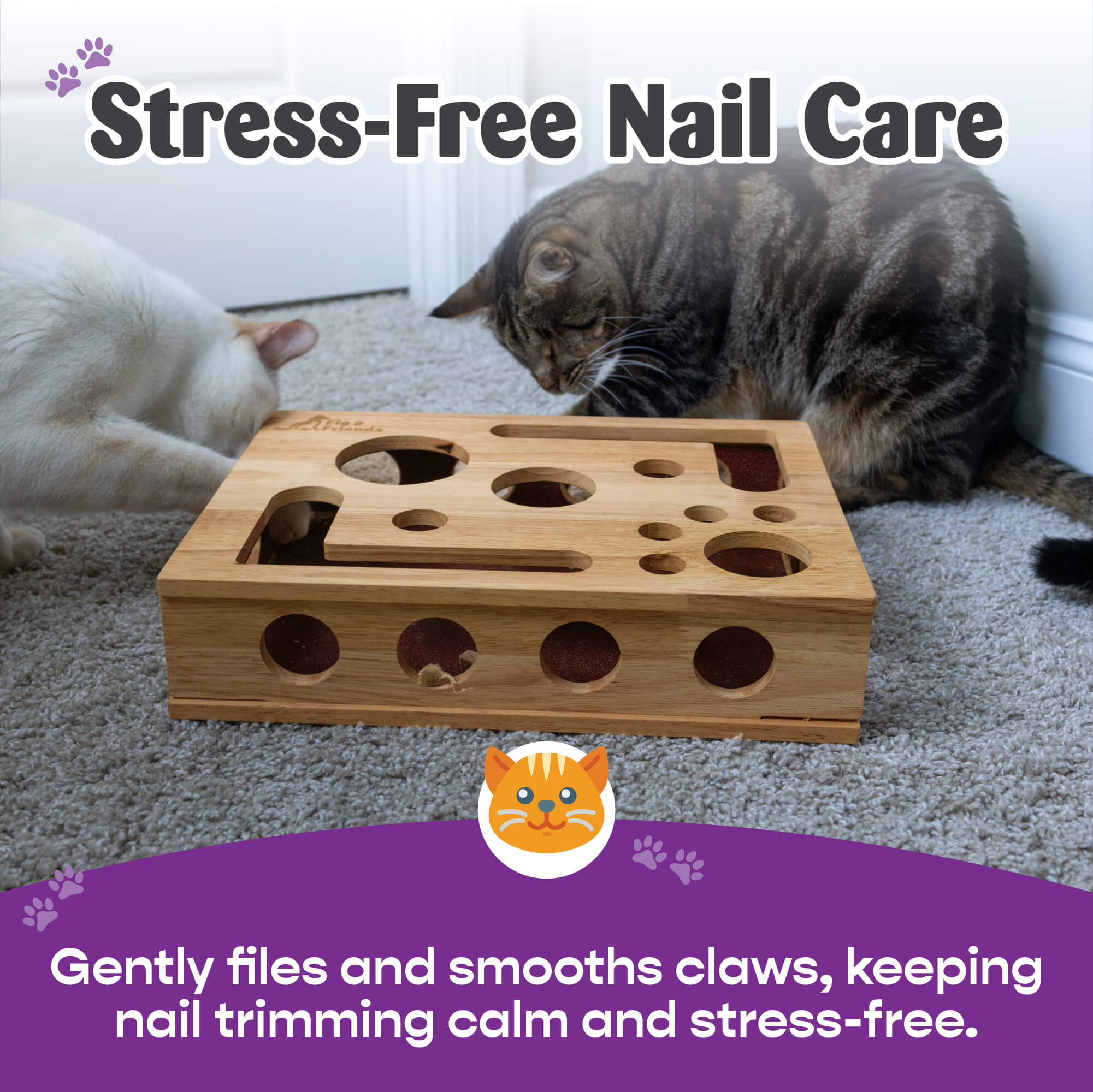 Cat Scratch Puzzle Enrichment Box Amzon Listings-02