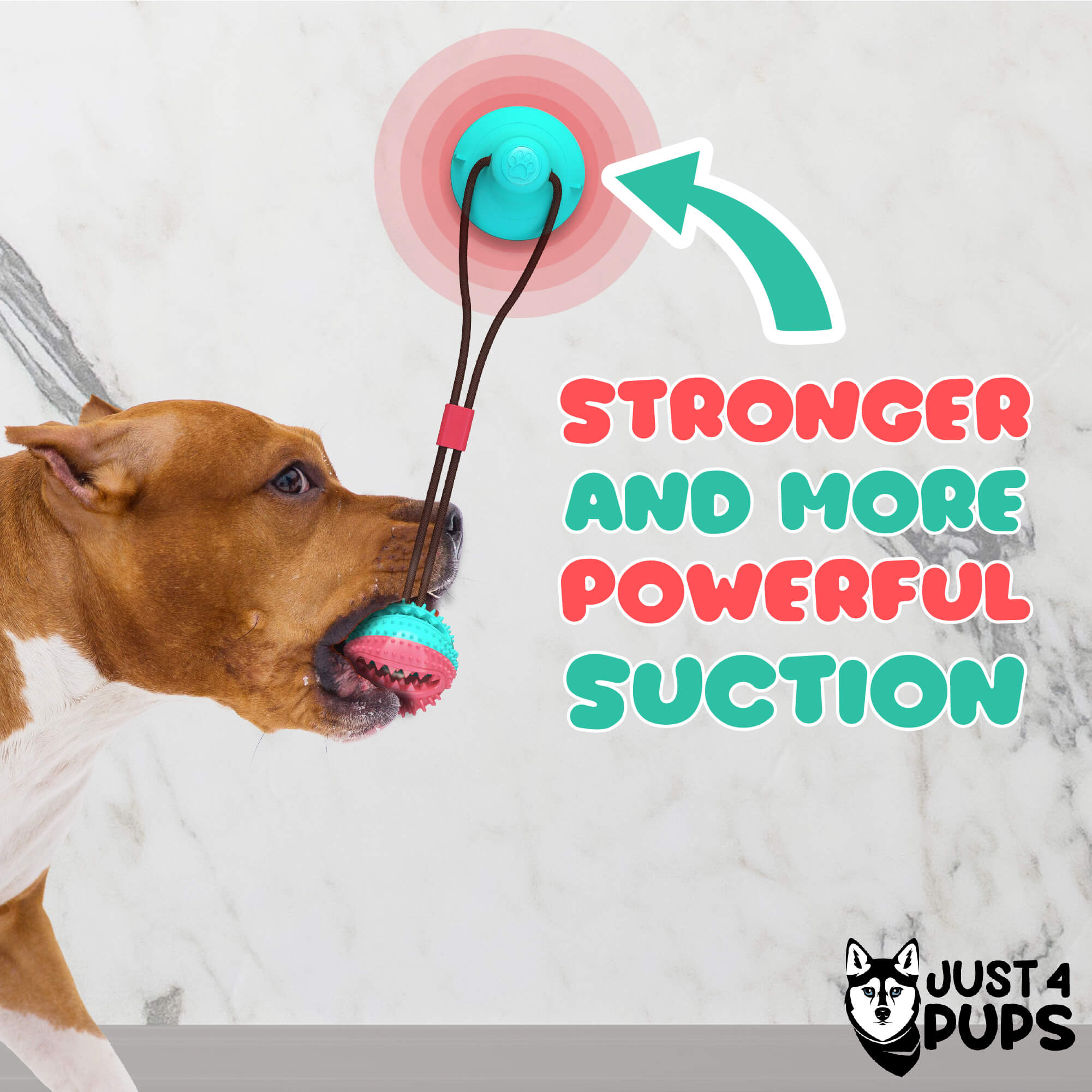 Product 2 Just for Pups Amazon Listings-01