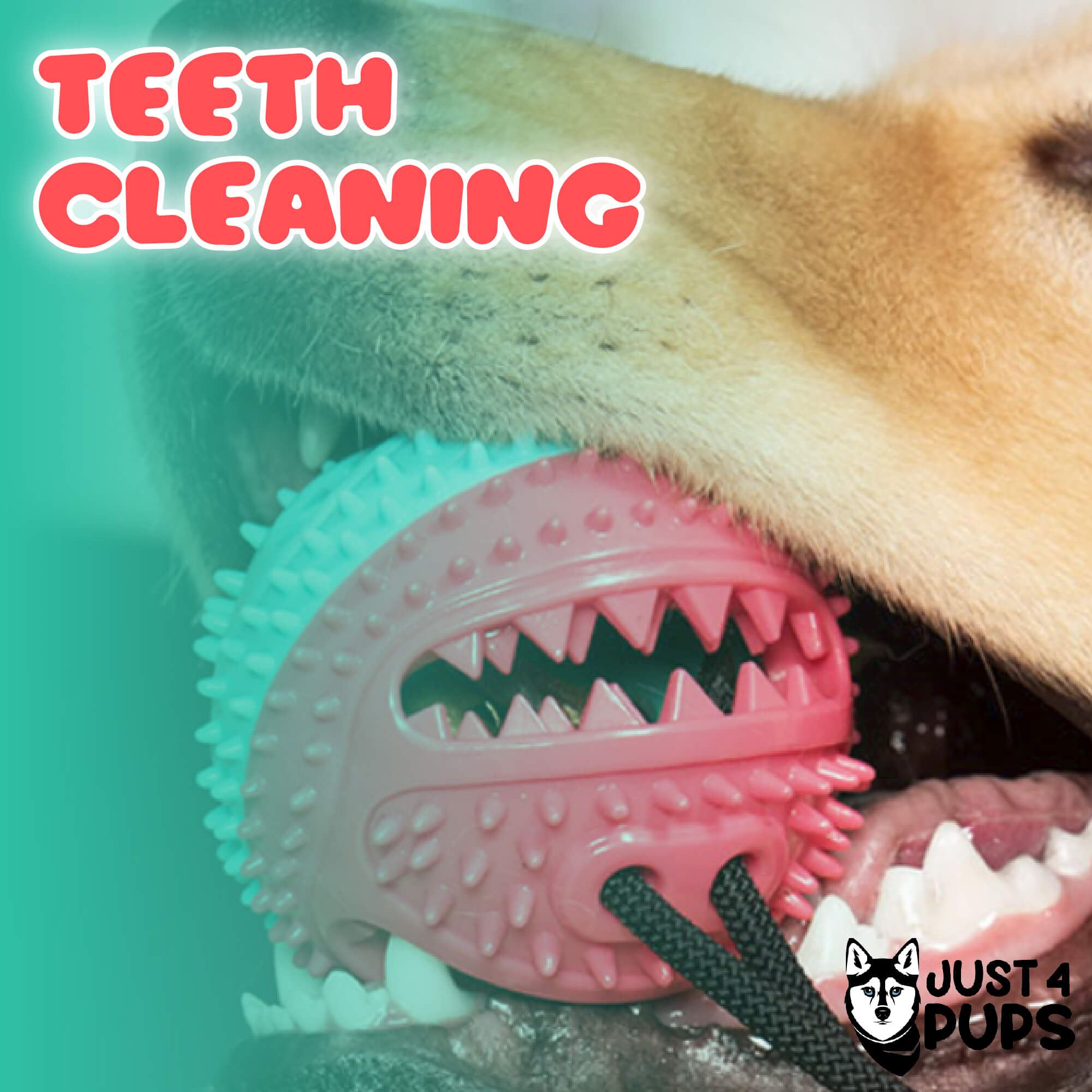 Product 2 Just for Pups Amazon Listings-05
