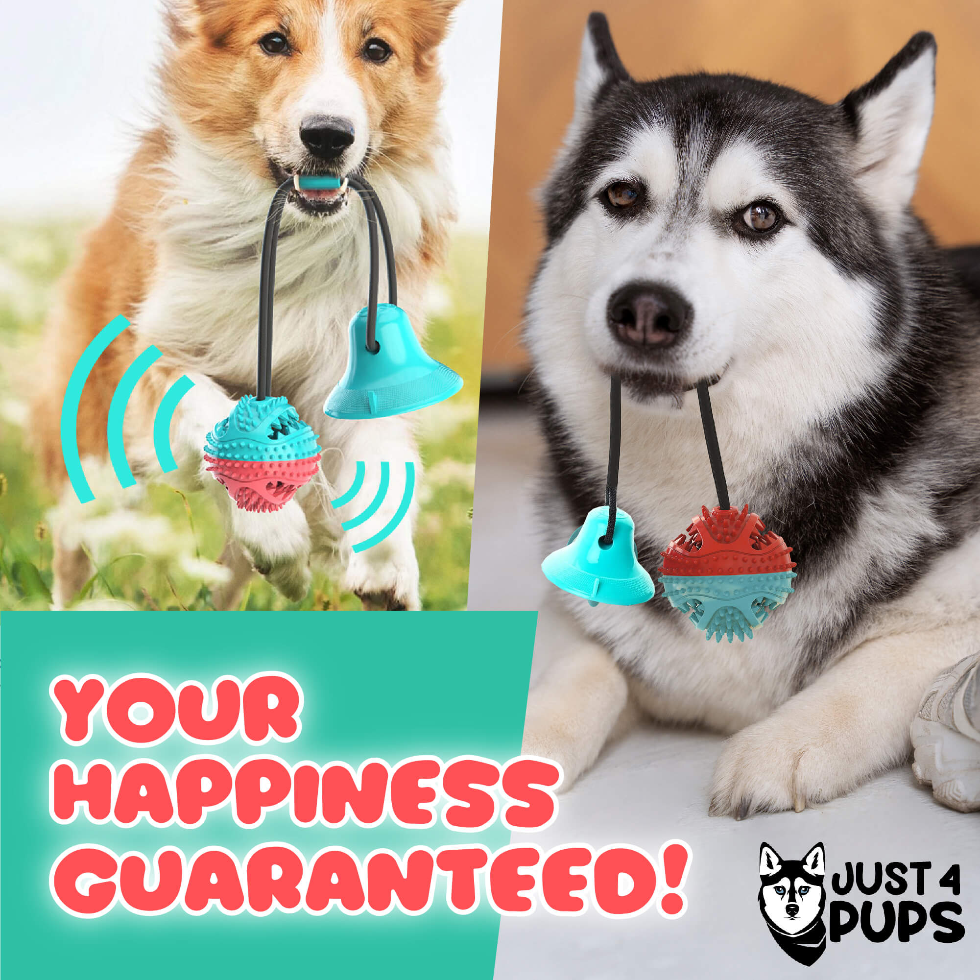 Product 2 Just for Pups Amazon Listings-07